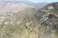 7693 SQM Land in Dora (Limassol) for sale 