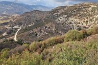 7693 SQM Land · Dora (Limassol) for sale 