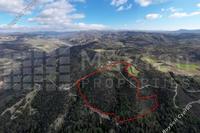 109031 SQM Plot · Dora (Limassol) for sale 