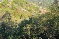 2007 SQM Land in Panagia (Paphos) for sale 