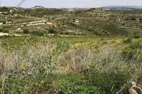 5352 SQM Land in Pachna (Limassol) for sale 