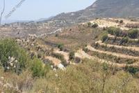 5352 SQM Land · Pachna (Limassol) for sale 