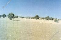 67000 SQM Land in Agios Theodoros Larnacas (Larnaca) for sale 