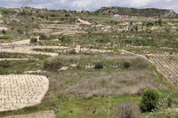 4497 SQM Land · Pachna (Limassol) for sale 