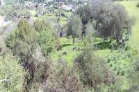 2174 SQM Land in Letymvou (Paphos) for sale 