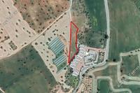 3345 SQM Land in Mazotos (Larnaca) for sale 
