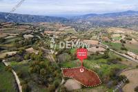 3266 SQM Land · Stroumbi (Paphos) for sale 
