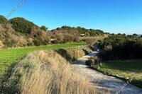0 SQM Land in Polemi (Paphos) for sale 