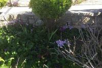 4 Bedroom Detached house in Vouni (Limassol) for sale 