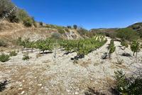 4014 SQM Land · Agios Georgios Silikou (Limassol) for sale 