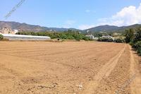 9365 SQM Plot in Agia Marina Chrysochous (Paphos) for sale 