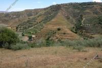 13379 SQM Land in Giolou (Paphos) for sale 