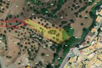 3011 SQM Land in Kornos (Larnaca) for sale 