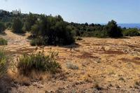 1247 SQM Land · Secret Valley (Paphos) for sale 