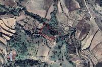 8343 SQM Land · Kallepeia (Paphos) for sale 