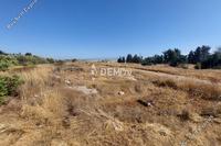 19500 SQM Land · Kouklia Pafou (Paphos) for sale 