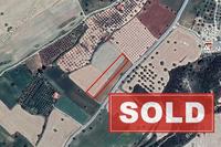 2007 SQM Land in Alaminos (Larnaca) for sale 