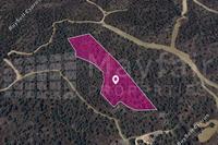 20736 SQM Land in Evrychou (Nicosia) for sale 