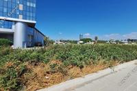 5181 SQM Land · Zakaki (Limassol) for sale 