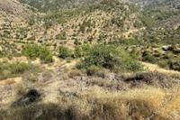 7954 SQM Land · Gourri (Nicosia) for sale 