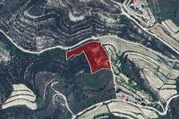 6689 SQM Land in Pachna (Limassol) for sale 