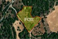 7358 SQM Land · Lysos (Paphos) for sale 