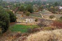 7070 SQM Land in Pera Pedi (Limassol) for sale 