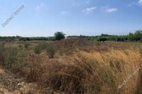 4461 SQM Land · Geroskipou (Paphos) for sale 