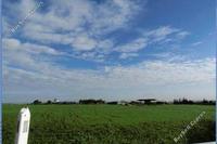 16081 SQM Land · Dromolaxia (Larnaca) for sale 