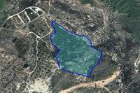 12842 SQM Land in Konia (Paphos) for sale 