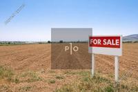 17400 SQM Land · Kampia (Nicosia) for sale 