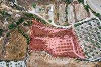 9031 SQM Land · Pissouri (Limassol) for sale 