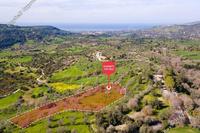 9365 SQM Land in Lysos (Paphos) for sale 