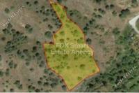 6021 SQM Plot in Agios Theodoros Soleas (Nicosia) for sale 