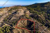 16389 SQM Land · Kinousa (Paphos) for sale 