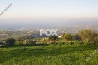 13045 SQM Land · Drousia (Paphos) for sale 