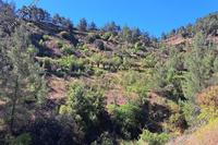 9116 SQM Land in Fterikoudi (Nicosia) for sale 