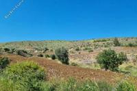 2342 SQM Land in Klirou (Nicosia) for sale 