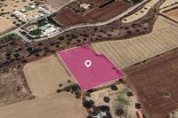 3011 SQM Land in Pera Orinis (Nicosia) for sale 