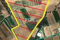 120738 SQM Land in Kouklia Pafou (Paphos) for sale 