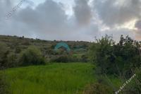 8032 SQM Land · Kritou Tera (Paphos) for sale 