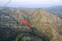 3345 SQM Plot in Pigenia (Nicosia) for sale 