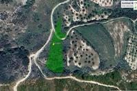 3122 SQM Plot in Theletra (Paphos) for sale 