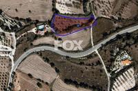 3679 SQM Land in Drimou (Paphos) for sale 