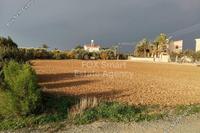 1920 SQM Land · Agios Theodoros Larnacas (Larnaca) for sale 
