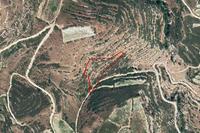 5352 SQM Land · Koilani (Limassol) for sale 