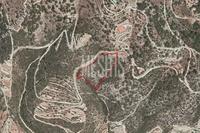 15316 SQM Land in Apesia (Limassol) for sale 