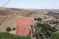8027 SQM Land · Troulloi (Larnaca) for sale 