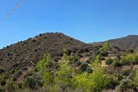 73245 SQM Land · Lageia (Larnaca) for sale 