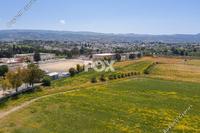 16890 SQM Land in Poli Chrysochous (Paphos) for sale 